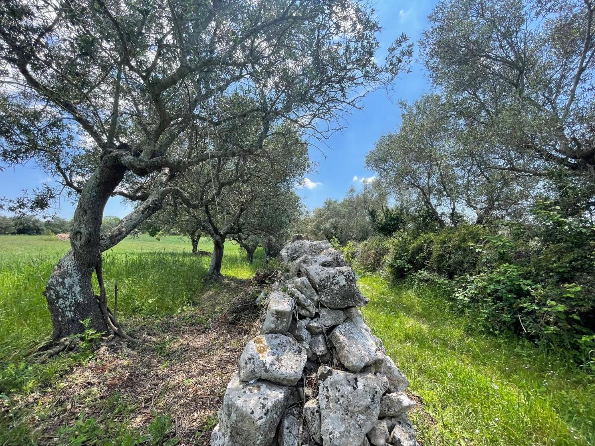 Trullo Trullallero Martina Franca Exteriér fotografie